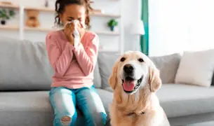 ילדה יושבת על הספה ליד הכלב שלה ומתעטשת